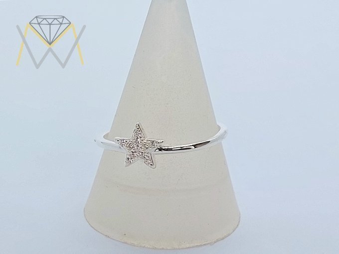 ESTRELLITA-MICROPAVE-1-12